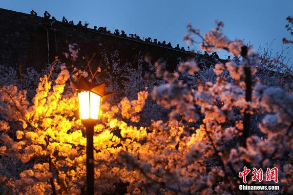 李克強(qiáng)會(huì)見巴西聯(lián)邦共和國(guó)總統(tǒng)