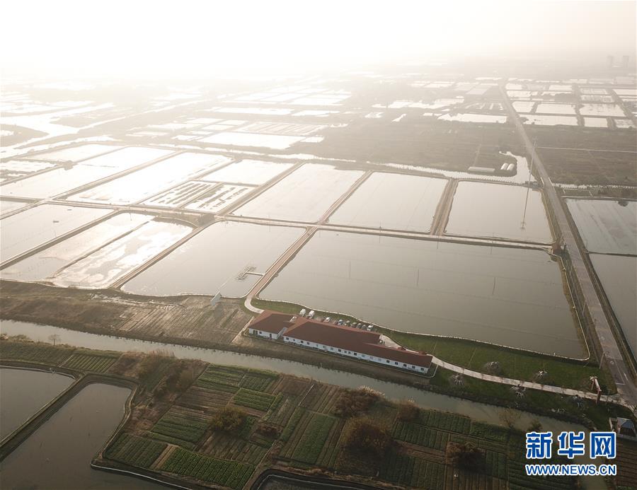 河北“袁府”是養(yǎng)老院？白巖松：要真是，就感動中國了