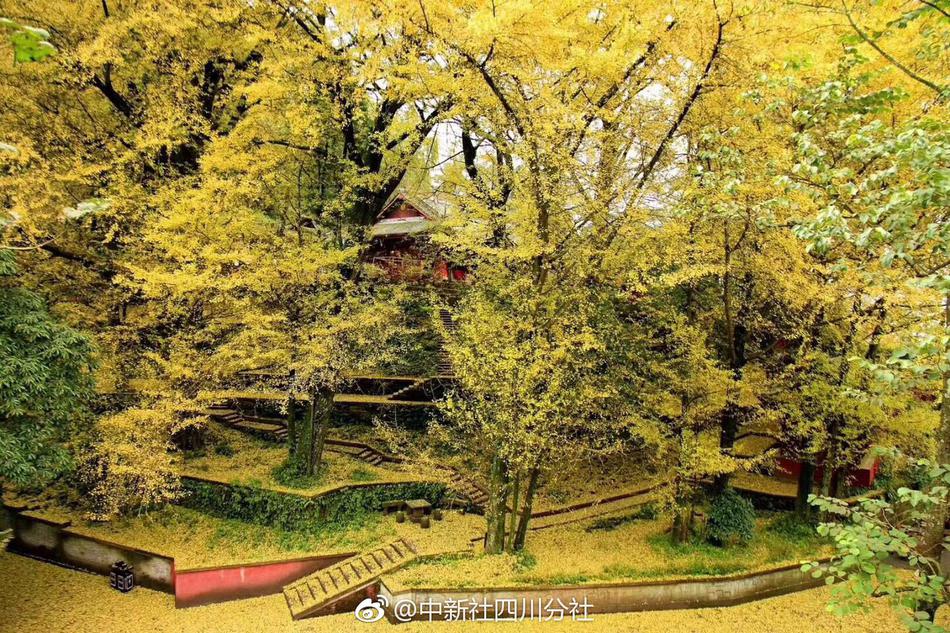 立法擬明確：接種疫苗死殘 不能排除是異常反應(yīng)也補(bǔ)償