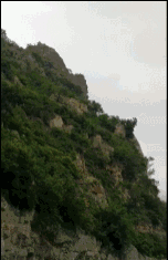 河北“袁府”是養(yǎng)老院？白巖松：要真是，就感動(dòng)中國了