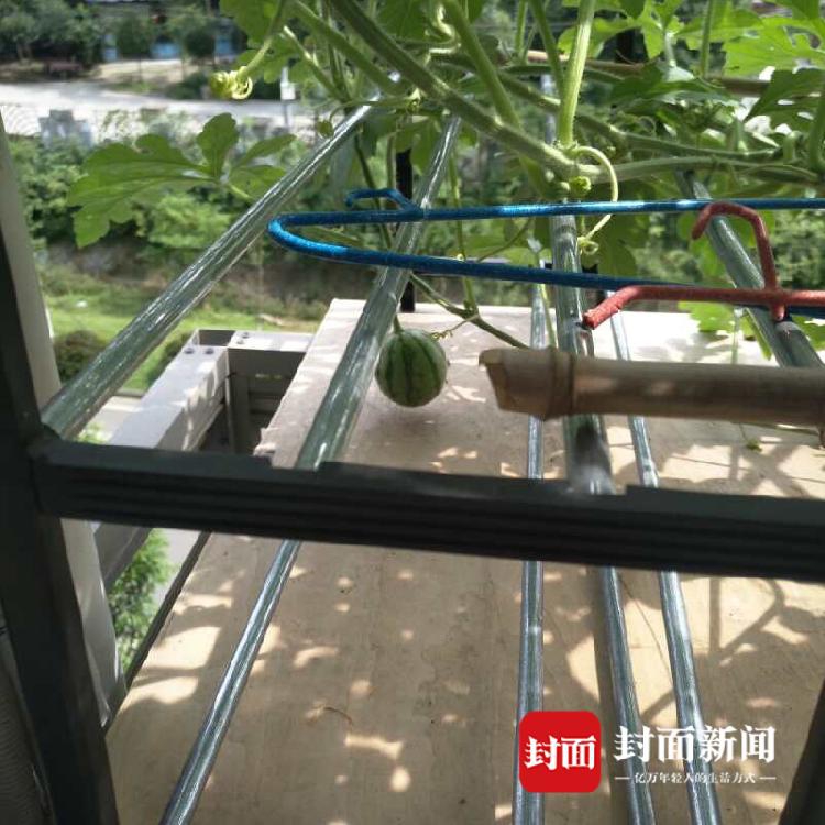 李克強(qiáng)會(huì)見(jiàn)巴西聯(lián)邦共和國(guó)總統(tǒng)