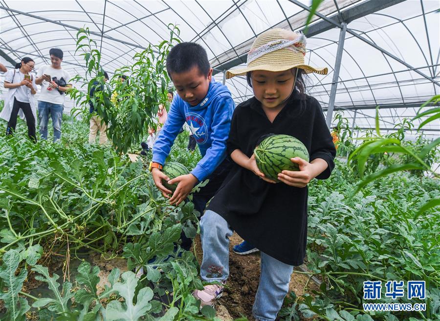 歌斐資產(chǎn)全委團(tuán)隊(duì)榮獲兩項(xiàng)大獎(jiǎng)項(xiàng)
