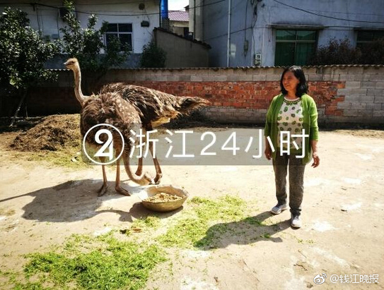 李克強(qiáng)會見巴西聯(lián)邦共和國總統(tǒng)