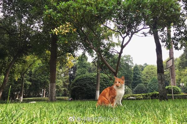 習近平總書記在深度貧困地區(qū)脫貧攻堅座談會上的重要講話引起強烈反響