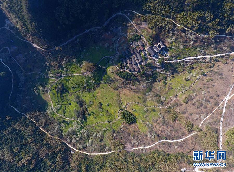 俄遠東草原發(fā)生火災造成27人受傷