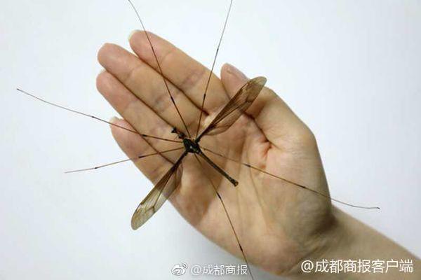 十二屆全國人大常委會第二十九次會議在京閉幕