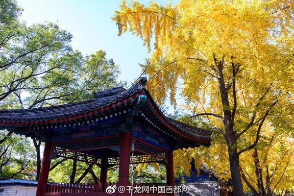習(xí)近平同巴西聯(lián)邦共和國(guó)總統(tǒng)舉行會(huì)談 兩國(guó)元首一致同意推動(dòng)中巴全面戰(zhàn)略伙伴關(guān)系取得新的更大發(fā)展