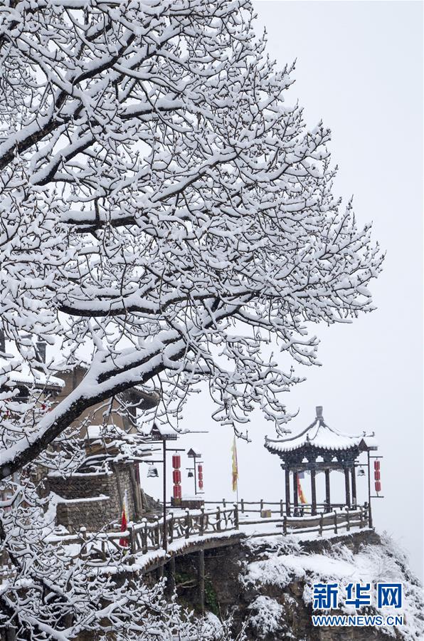 俞正聲會(huì)見(jiàn)巴西聯(lián)邦共和國(guó)總統(tǒng)