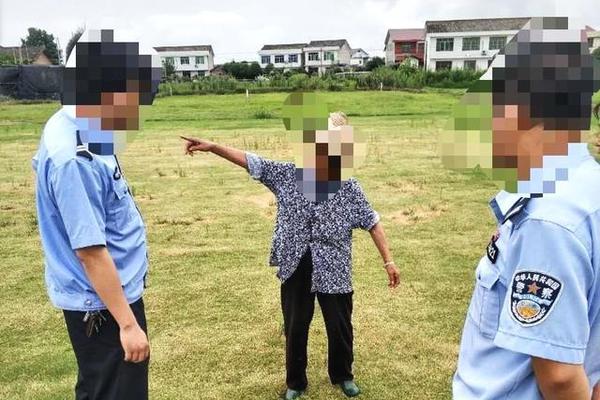習近平同巴西聯(lián)邦共和國總統(tǒng)舉行會談 兩國元首一致同意推動中巴全面戰(zhàn)略伙伴關系取得新的更大發(fā)展