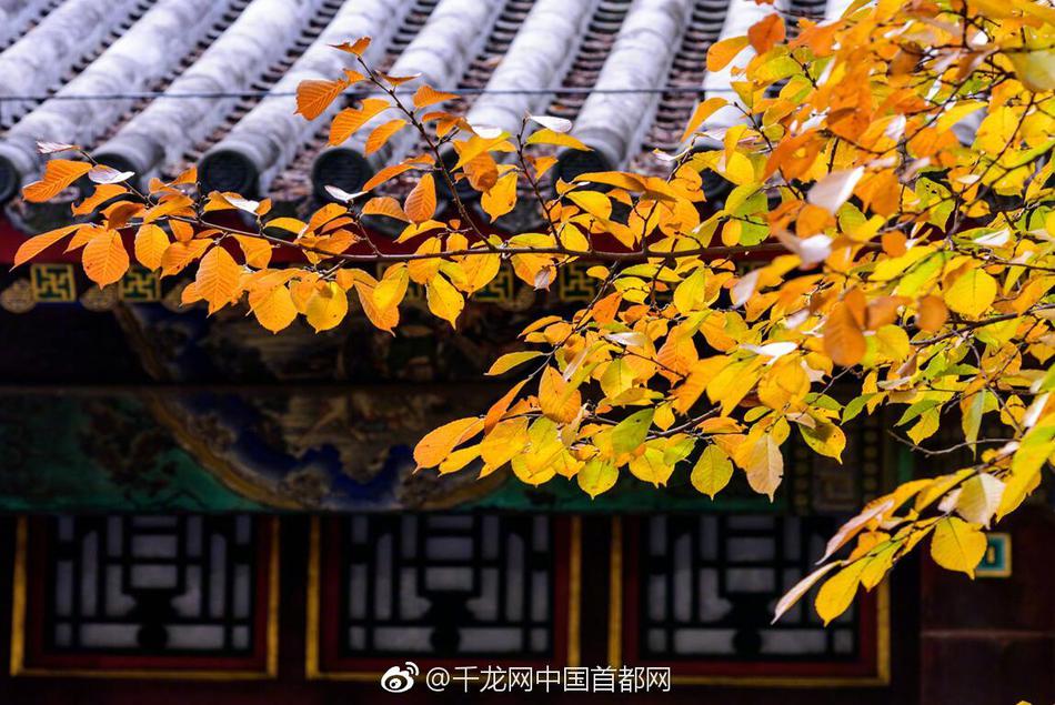 70年前北影廠成立，拍攝經(jīng)典作品你看過幾部丨日簽