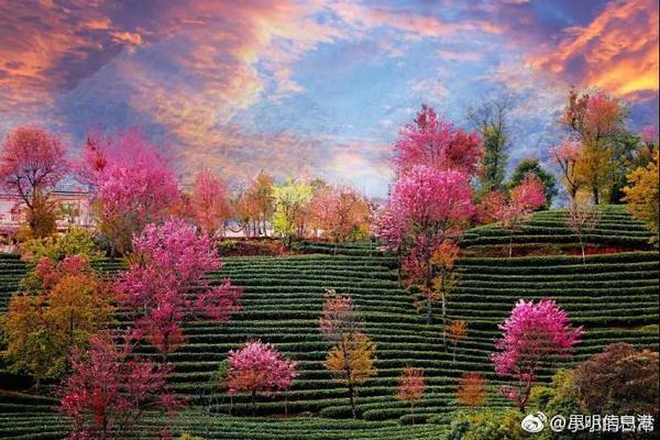 習(xí)近平同巴西聯(lián)邦共和國(guó)總統(tǒng)舉行會(huì)談 兩國(guó)元首一致同意推動(dòng)中巴全面戰(zhàn)略伙伴關(guān)系取得新的更大發(fā)展