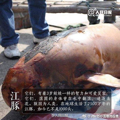 李克強會見巴西聯(lián)邦共和國總統(tǒng)