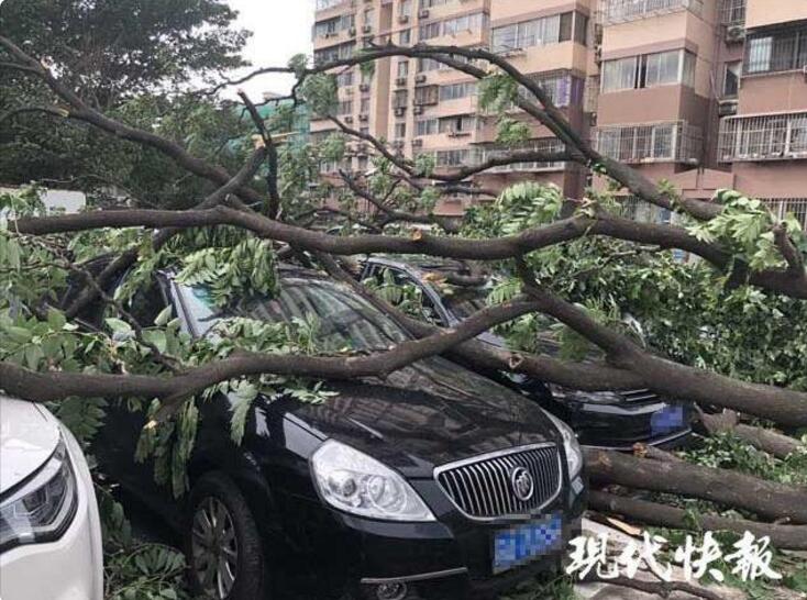 習(xí)近平同巴西聯(lián)邦共和國總統(tǒng)舉行會(huì)談 兩國元首一致同意推動(dòng)中巴全面戰(zhàn)略伙伴關(guān)系取得新的更大發(fā)展