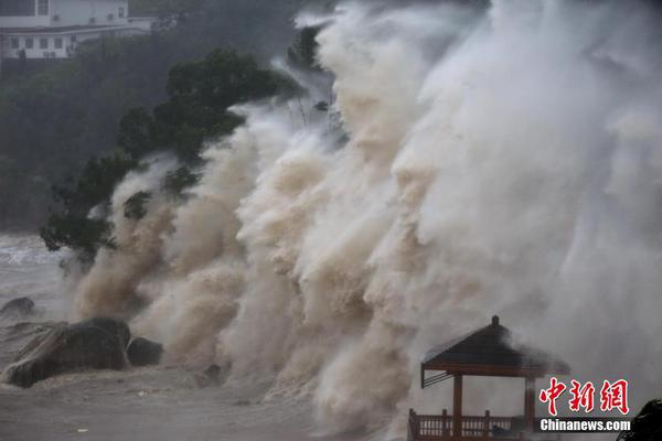 起底城市綠化中的奢靡之風(fēng)：貧困縣斥資200多萬(wàn)種銀杏