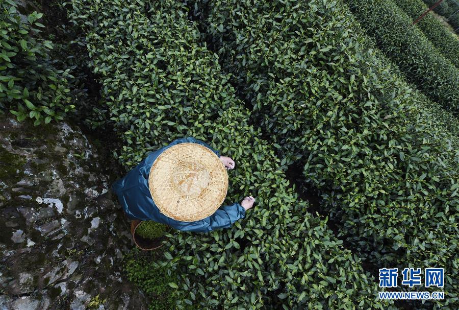 習近平同巴西聯(lián)邦共和國總統(tǒng)舉行會談 兩國元首一致同意推動中巴全面戰(zhàn)略伙伴關(guān)系取得新的更大發(fā)展