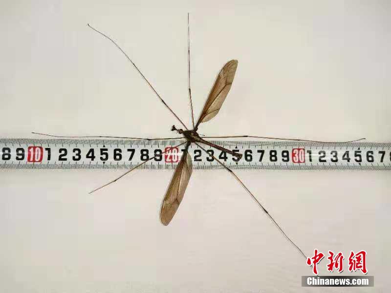 習(xí)近平總書記在深度貧困地區(qū)脫貧攻堅座談會上的重要講話引起強烈反響