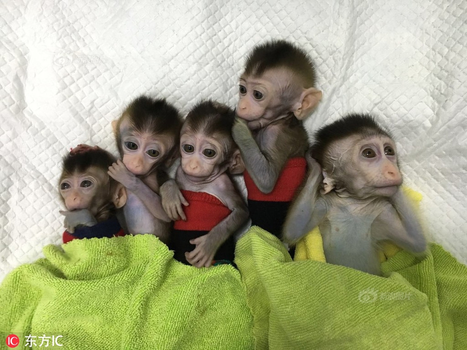 程序員如何賺外快？