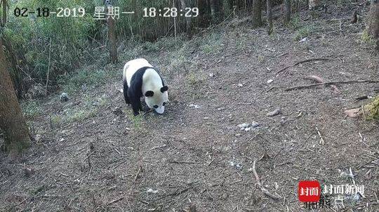 中共中央黨校舉行秋季學(xué)期開(kāi)學(xué)典禮 劉云山出席并講話
