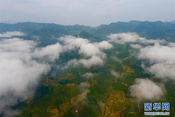 手機(jī)界又一大佬落下帷幕！走向互聯(lián)網(wǎng)業(yè)務(wù)只為最后一搏？