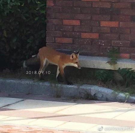 十二屆全國人大常委會第二十九次會議在京閉幕